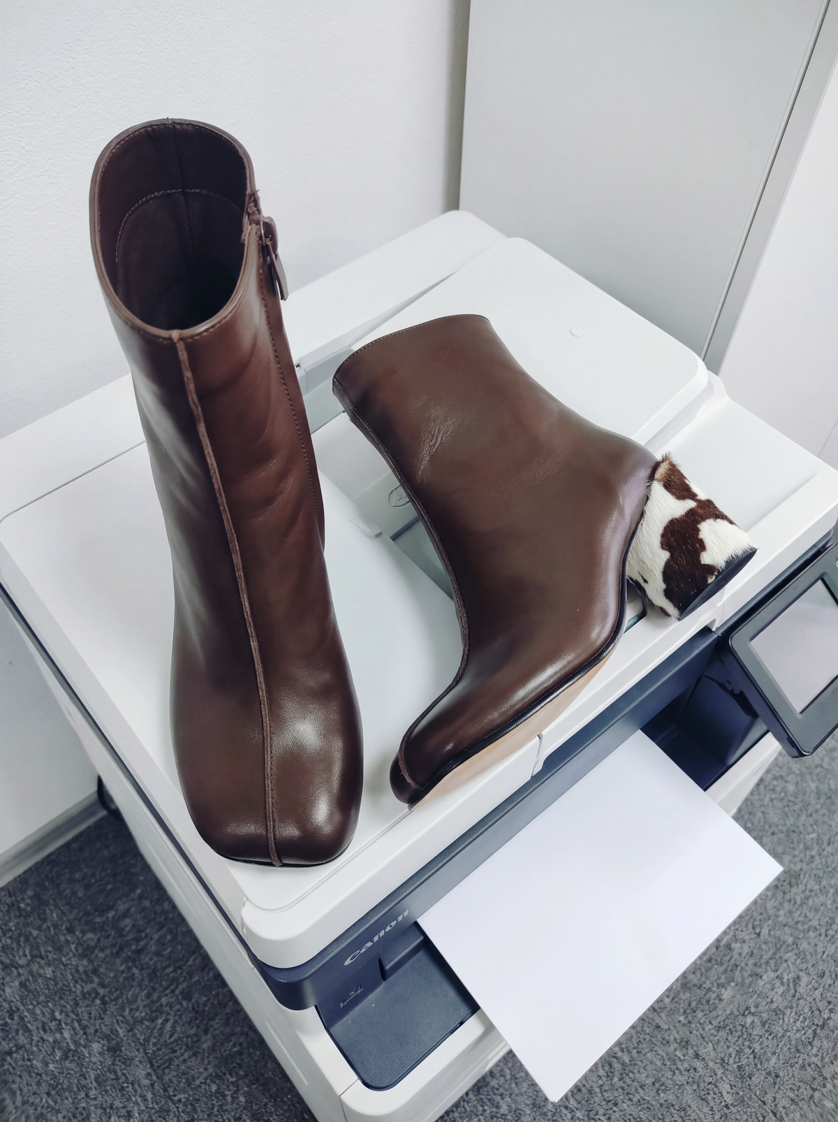 Savanna shoes