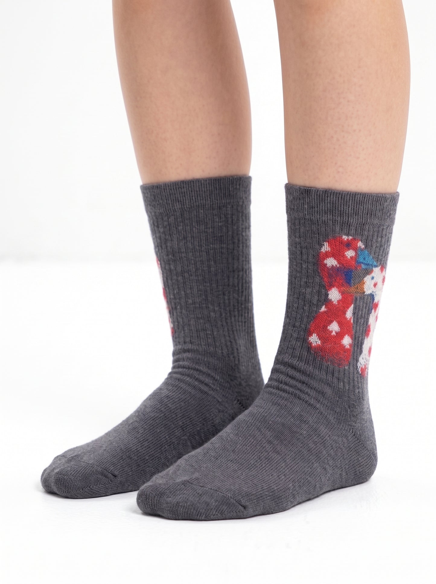 Lucky Goose Socks