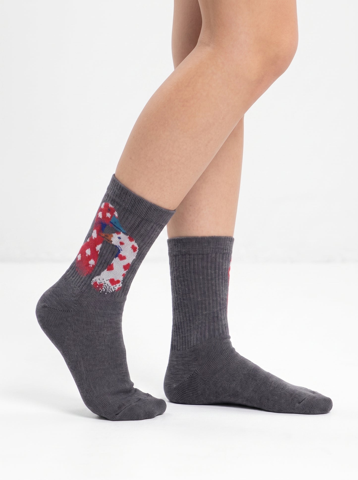 Lucky Goose Socks